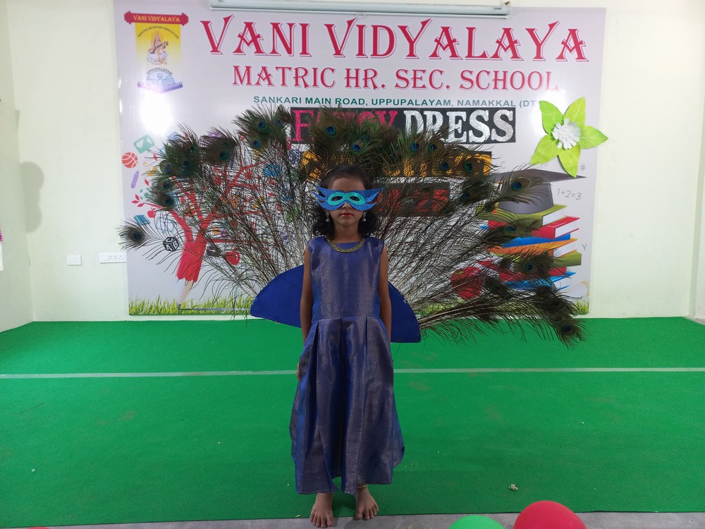 Fancy Dress Competition (II- Std) - 2024-25